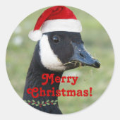 Sticker Rond Canada Goose portant Red Santa Hat Holiday (Devant)