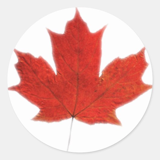 Sticker Rond Canadien... Feuille d'érable (Devant)