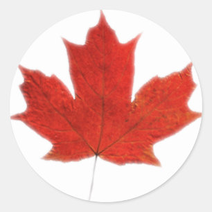 Sticker Rond Canadien... Feuille d'érable