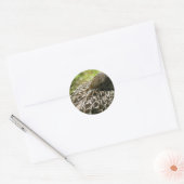 Sticker Rond Canard (Enveloppe)
