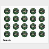 Sticker Rond Canard à bois (Drake) (Feuille)