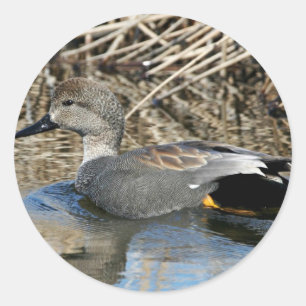Sticker Rond Canard chipeau Drake