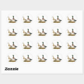 Sticker Rond Canards : Argent Welsh Harlequin (Feuille)