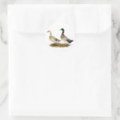 Sticker Rond Canards : Argent Welsh Harlequin (Sac)