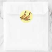 Sticker Rond Canards : Khaki Campbell (Sac)