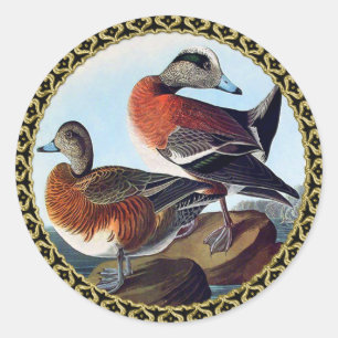 Sticker Rond Canards Widgeon américains sur une roche