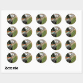STICKER ROND CANAUX (Feuille)
