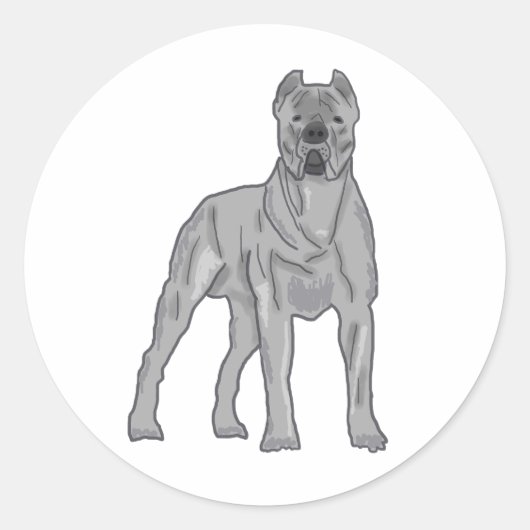 Sticker Rond Cane Corso (Devant)