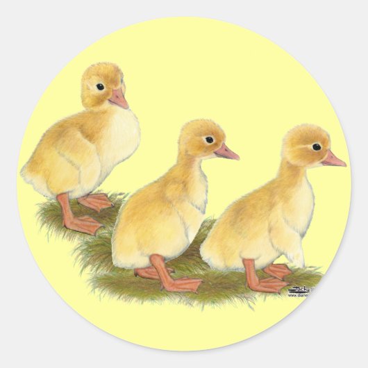 Sticker Rond Canettes jaunes (Devant)