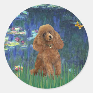 Sticker Rond Caniche (Abricot 10) - Lys 5