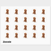 Sticker Rond Caniche - Jouet (Abricot) (Feuille)