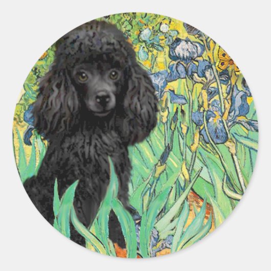 Sticker Rond Caniche (noir 1) - Iris (Devant)