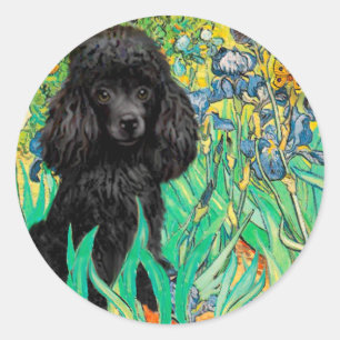 Sticker Rond Caniche (noir 1) - Iris