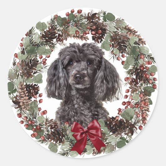 Sticker Rond Caniche Noir Pinecone Rouge Bow Wreath Noël (Devant)