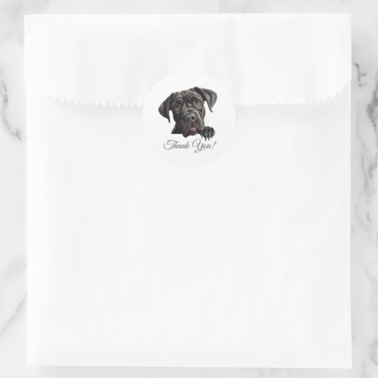 Sticker Rond Canne Corso Chien Merci (Sac)