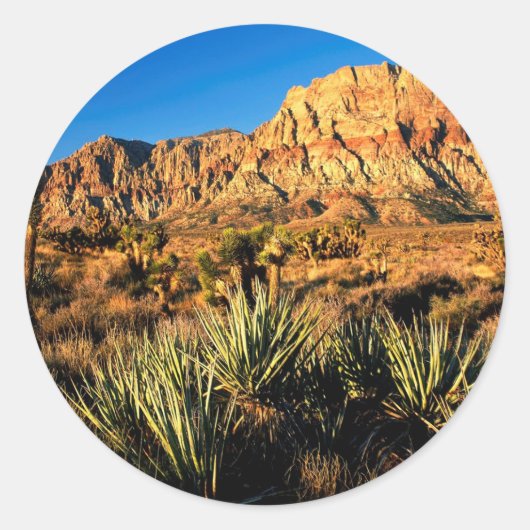 Sticker Rond Canyon Red Rock Nevada (Devant)