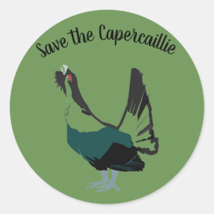 Sticker Rond Capercaillie oiseau Art Round Sticker, Glossy