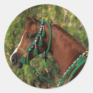 Sticker Rond Capture d'écran du cheval arabe avec bride