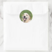 Sticker Rond Capture d'écran Golden Retriever 1 (Sac)