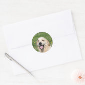 Sticker Rond Capture d'écran Golden Retriever 1 (Enveloppe)