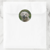 Sticker Rond Capture d'écran Golden Retriever 2 (Sac)