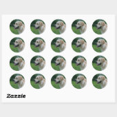 Sticker Rond Capture d'écran Golden Retriever 2 2 (Feuille)
