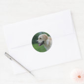 Sticker Rond Capture d'écran Golden Retriever 2 2 (Enveloppe)