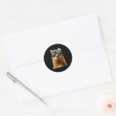 Sticker Rond Capybara Bruh With Sungles Funny Meme Lovers Men W (Enveloppe)