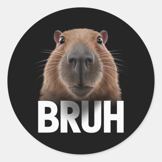 Sticker Rond Capybara Drôle Bruh  (Devant)