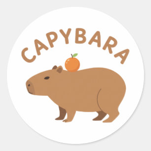 Sticker Rond Capybara Mignon Avec Orange Sur La Tête Mème Minim