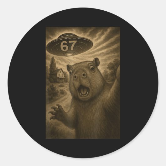 Sticker Rond Capybara Selfie 67 Meme Six Seven Funny Ufo (Devant)