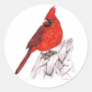 Sticker Rond Cardinal