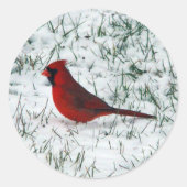 Sticker Rond Cardinal de la Saint-Valentin (Devant)