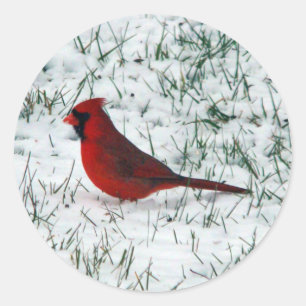 Sticker Rond Cardinal de la Saint-Valentin