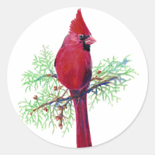 Sticker Rond Cardinal de Noël