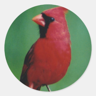 Sticker Rond Cardinal du Nord