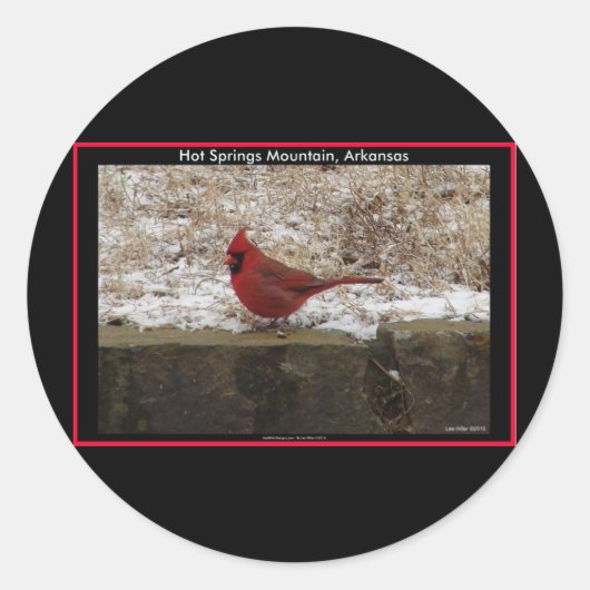 Sticker Rond Cardinal Hot Springs Nat. Cadeaux AR Park Mountain (Devant)