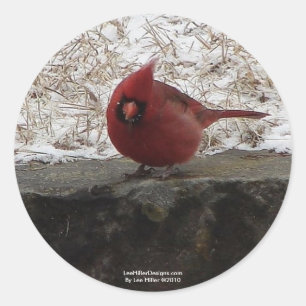 Sticker Rond Cardinal Hot Springs Parc Nat Mt AR Cadeaux Vêteme