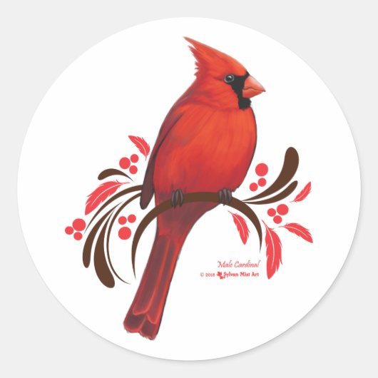 Sticker Rond Cardinal masculin (Devant)