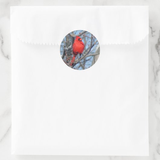 Sticker Rond Cardinal rouge (Sac)