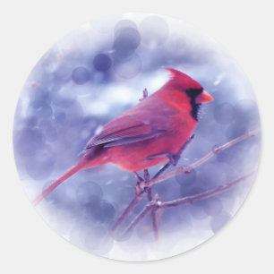 Sticker Rond Cardinal rouge au Blizzard
