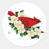 Sticker Rond Cardinal rouge du Nord (Devant)