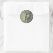 Sticker Rond Cardinaux "Noël arrive" (Sac)