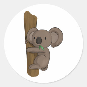 Sticker Rond Caricature mignonne Ours de Koala sur arbre manger