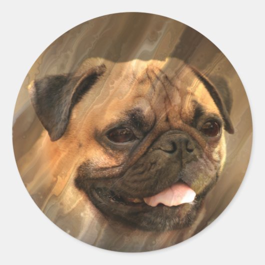 Sticker Rond Carlin (Devant)