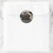 Sticker Rond Carlin (Sac)