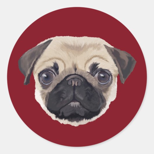 Sticker Rond Carlin (Devant)