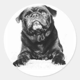 Sticker Rond Carlin - CARLIN noir noir noir & blanc