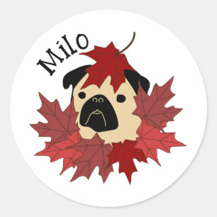 Sticker Rond Carlin d'automne avec Feuilles