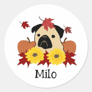 Sticker Rond Carlin d'automne avec Feuilles, Citrouilles et tou